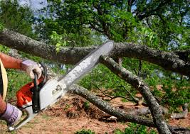 Soil Testing and Treatment in Lyles, TN